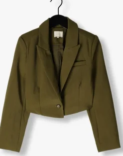 groene ai&ko blazer ariel vis 345 g