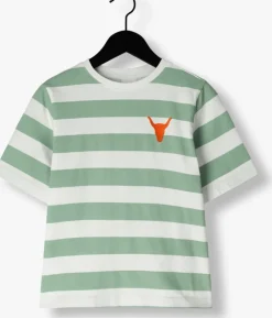 groene alix mini t-shirt striped t-shirt