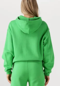 groene american vintage trui izubird s