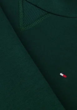 groene tommy hilfiger trui u timeless hoodie