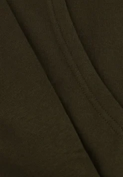 groene tommy jeans truien/vesten tjm reg s flag hoodie