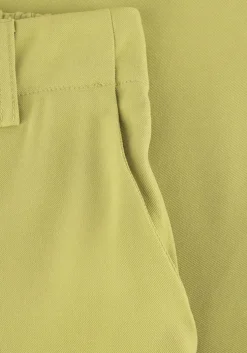 groene ydence pantalon pants solange (tall)
