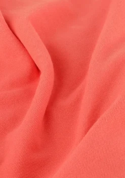 koraal pme legend polo trackway polo