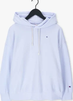 lichtblauwe champion trui hooded sweatshirt dms plain