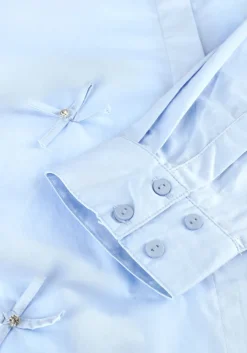 lichtblauwe copenhagen muse blouses cmvatan-shirt