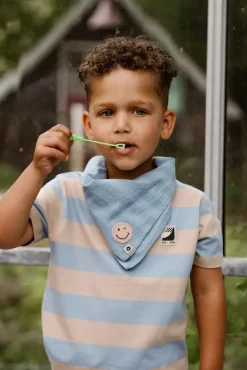 lichtblauwe daily7 t-shirt t-shirt big stripe