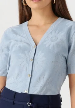 lichtblauwe fabienne chapot vest maddy cardigan