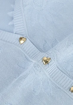 lichtblauwe fabienne chapot vest maddy cardigan