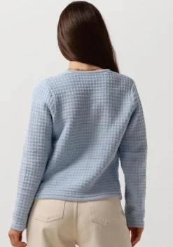 lichtblauwe neo noir vest limone knit jacket