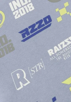 lichtblauwe raizzed truien/vesten narton