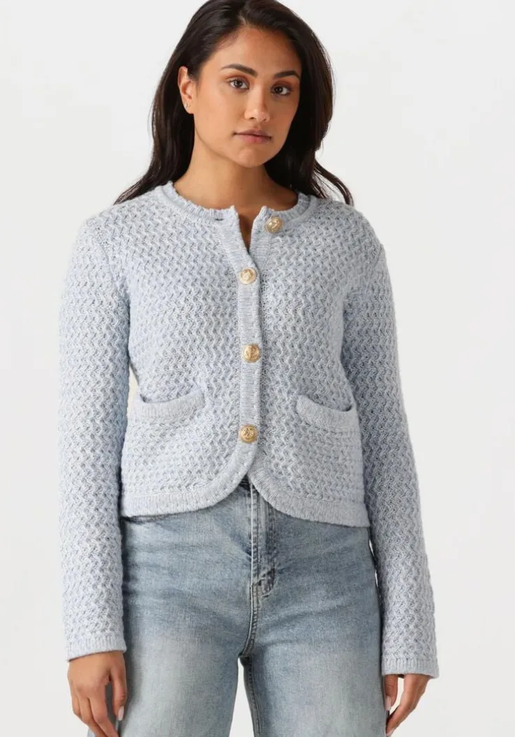 lichtblauwe vanessa bruno vest dorina