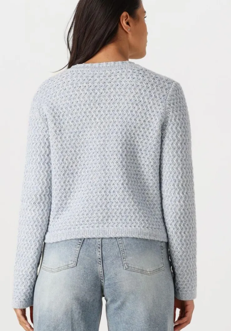 lichtblauwe vanessa bruno vest dorina