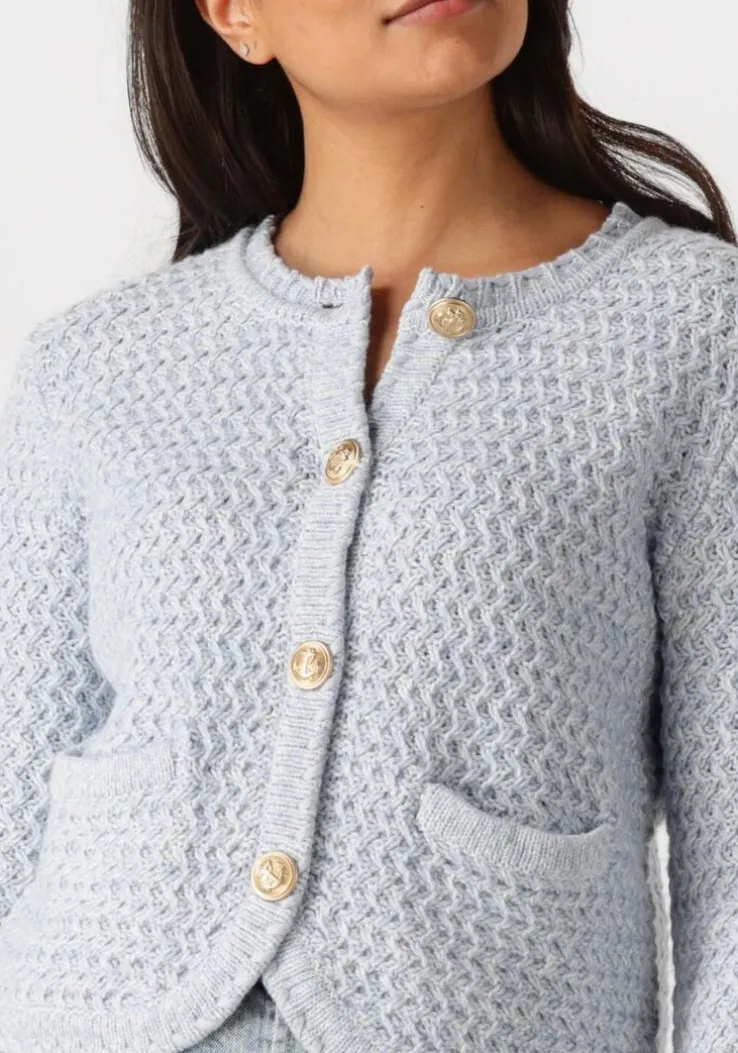 lichtblauwe vanessa bruno vest dorina