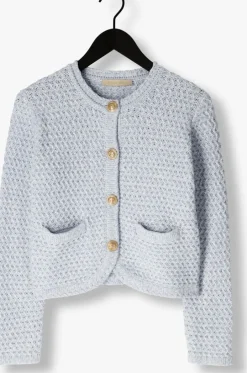 lichtblauwe vanessa bruno vest dorina