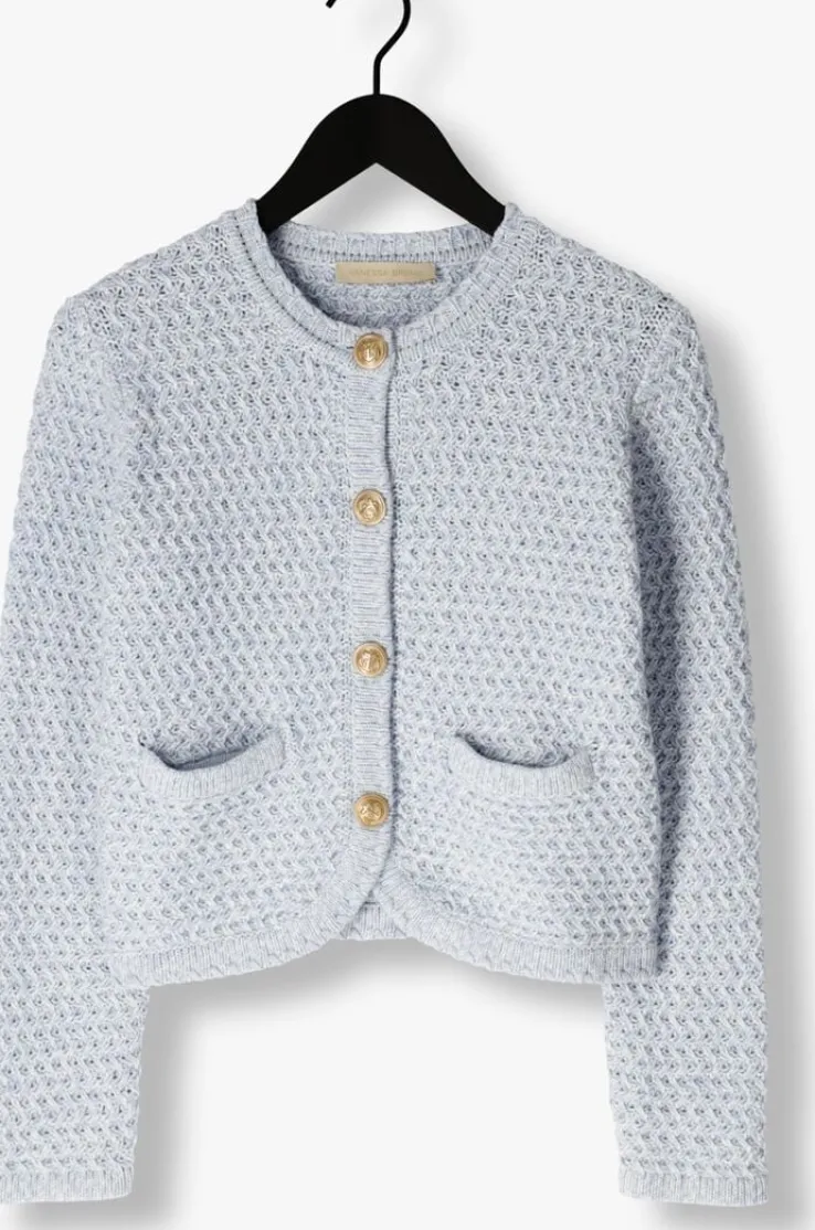 lichtblauwe vanessa bruno vest dorina