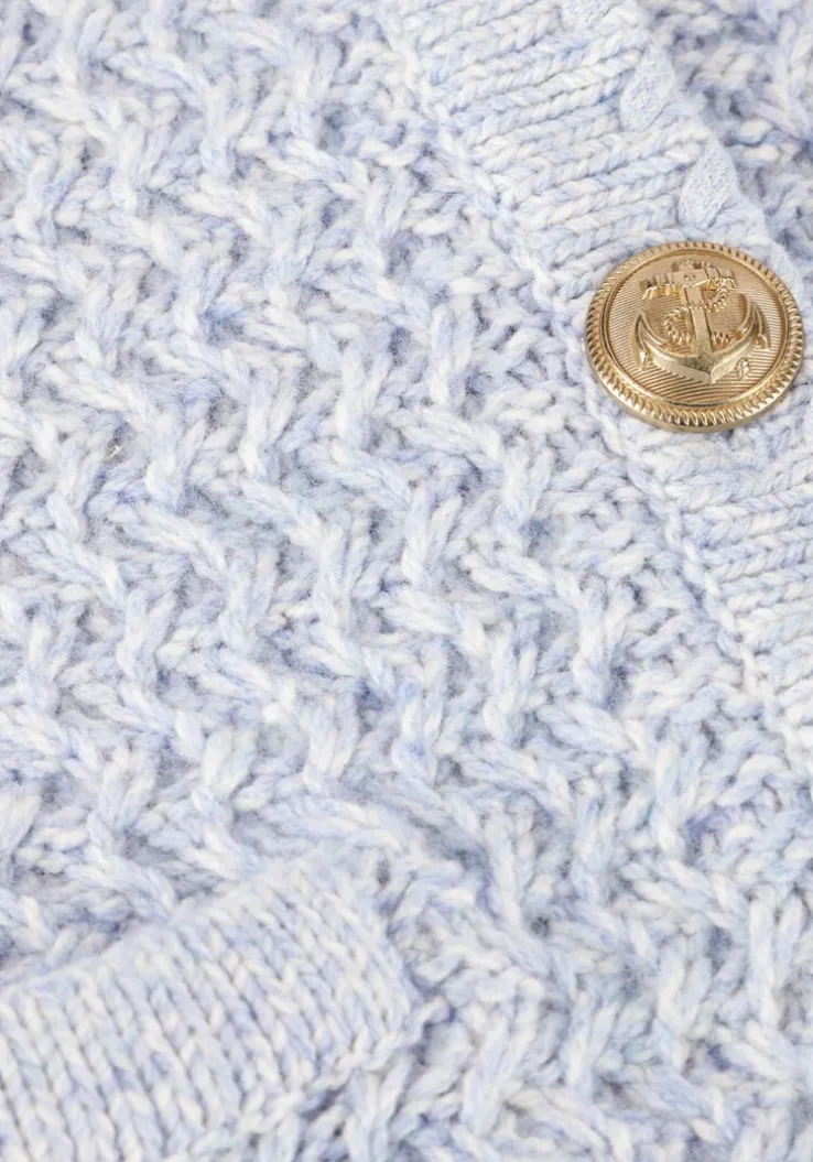 lichtblauwe vanessa bruno vest dorina