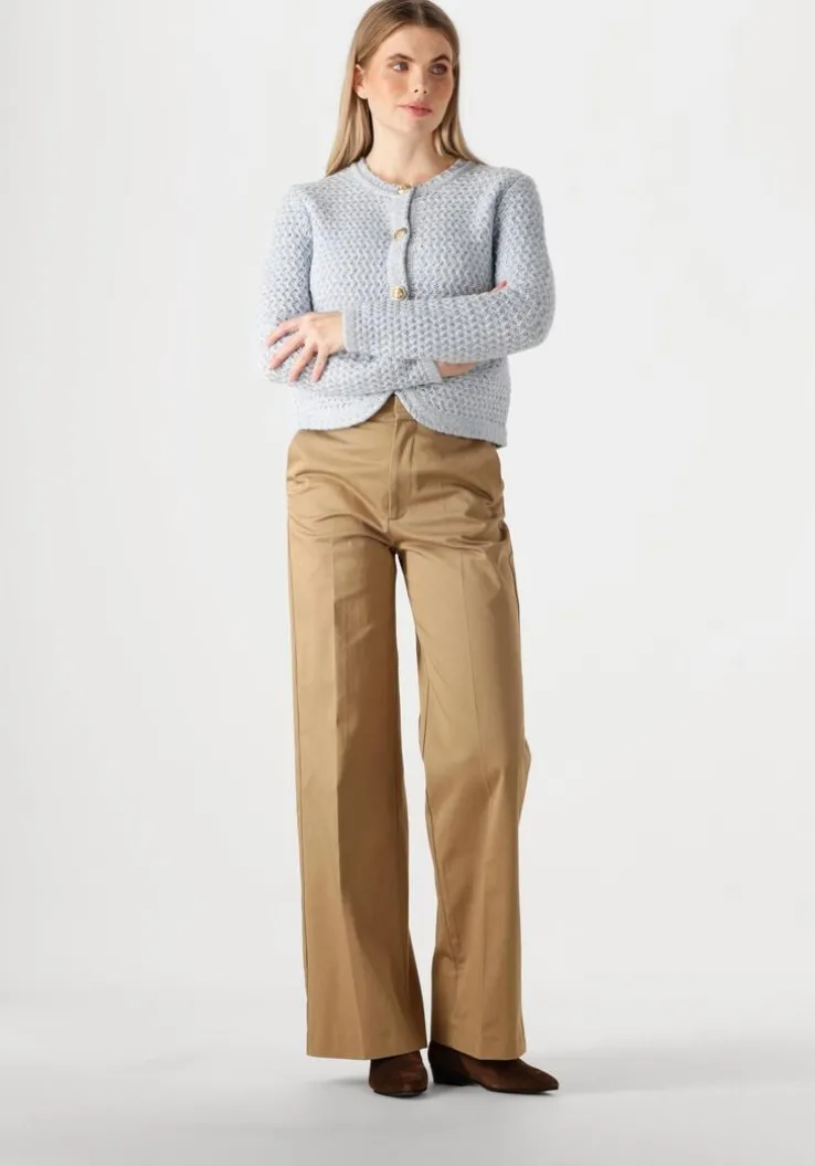 lichtblauwe vanessa bruno vest dorina