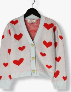 lichtblauwe vingino vest manon