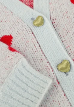 lichtblauwe vingino vest manon