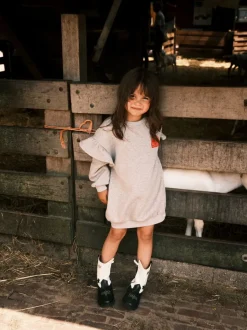 lichtgrijze alix mini mini jurk ruffles sweat dress