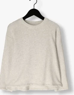 lichtgrijze american vintage sweater atubay