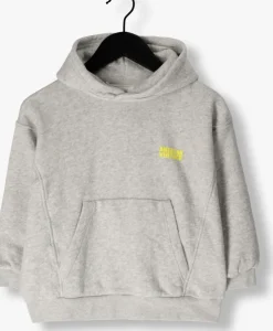 lichtgrijze american vintage truien/vesten kodytown 1