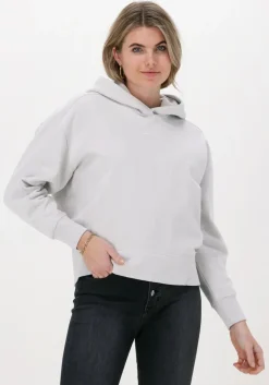 lichtgrijze calvin klein trui micro branding hoodie