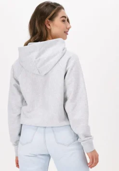 lichtgrijze champion trui hooded sweatshirt 115110