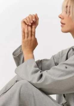 lichtgrijze chptr-s blouses lavish blouse