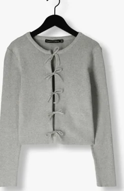 lichtgrijze frankie & liberty vest rivka cardigan