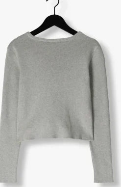 lichtgrijze frankie & liberty vest rivka cardigan