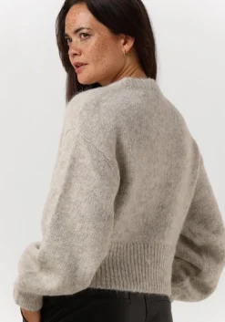 lichtgrijze gestuz trui diankagz pullover