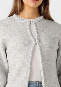 lichtgrijze neo noir vest lily pearl knit cardigan