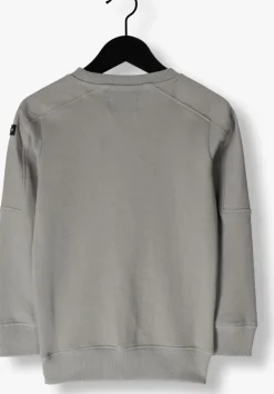 lichtgrijze raizzed sweater nashua