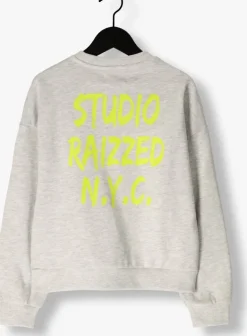 lichtgrijze raizzed sweater cela