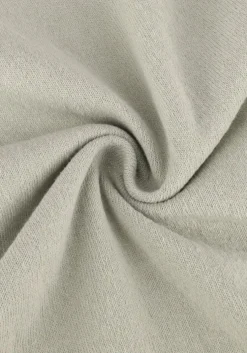 lichtgrijze saint steve t-shirt wout