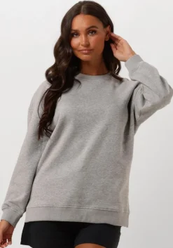 lichtgrijze selected femme sweater slfgia yrsa ls crew neck sweat