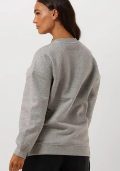 lichtgrijze selected femme sweater slfgia yrsa ls crew neck sweat