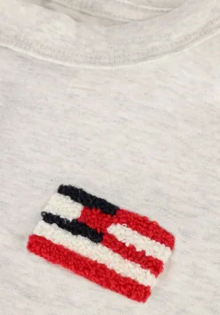 lichtgrijze tommy hilfiger t-shirt hilfiger flag terry emb tee ss