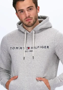 lichtgrijze tommy hilfiger sweater tommy logo hoody