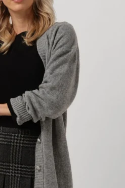 lichtgrijze vanilia vest vikke