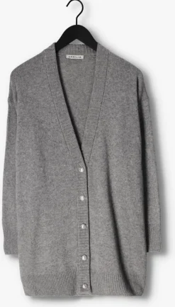 lichtgrijze vanilia vest vikke