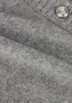 lichtgrijze vanilia vest vikke