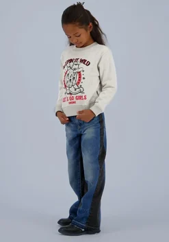 lichtgrijze vingino sweater noah