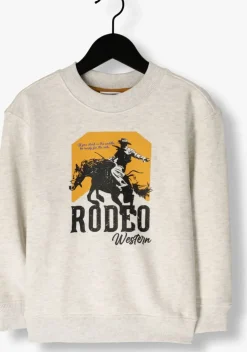 lichtgrijze vingino trui nexas