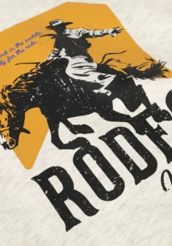 lichtgrijze vingino trui nexas