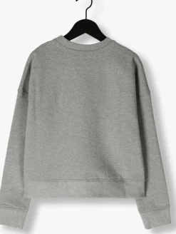 lichtgrijze zadig & voltaire sweater x60220