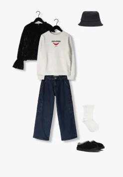 lichtgrijze zadig & voltaire sweater x60154