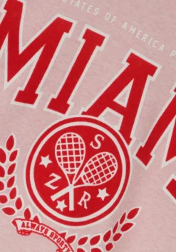 lichtroze hound sweater oversized crewneck