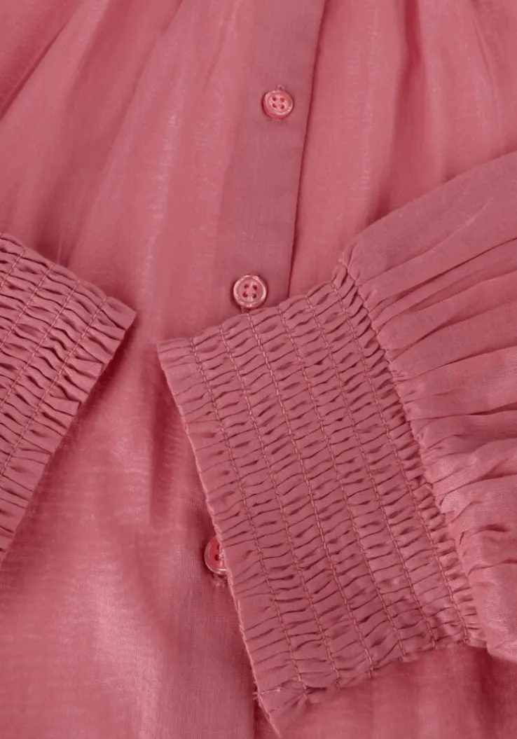 lichtroze ibana blouses tinca